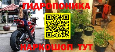 гашиш Кандалакша